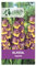 5 bulbes de fleurs Glaïeul Dynamite - violet - jaune