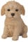 Pacific Giftware Hunde Figur Labradoodle - Welpe Baby Dekofigur Geschenk für Hundeliebhaber