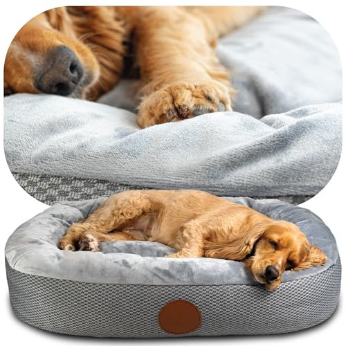 Elite Paws UK: Luxuriöses Hundebett im orthopädischen Stil – zweilagiger Schaumstoffboden mit Plüschkissen, Seiten für Kopf-, Nacken- und Gelenkunterstützung, plus waschbarer Fleece-Bezug mit