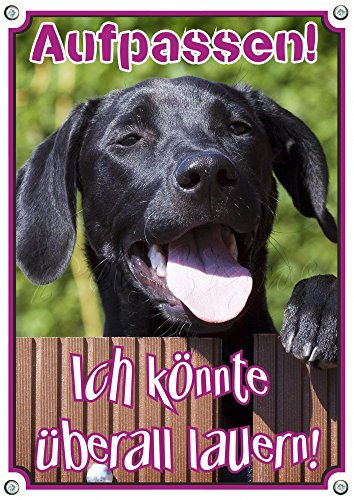 Petsigns Warnschild schwarzer Labrador - Aufpassen! haltbare Qualität - 1,5 mm Metallplatte, DIN A5