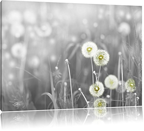 Pixxprint wunderschöne Pusteblumen B&W, Größe: 80x60cm, Leinwandbild, fertig gespannt, Wandbild, Dekoration, Kunstdruck, kein Poster