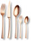 ECHTWERK Couverts de table Avelino/Shiny-Bronze Edition, 30 pièces, pour 6 personnes, acier inoxydable 18/10-brillant, Set de couverts de haute qualité, cassette de rangement incluse, acier 18/10