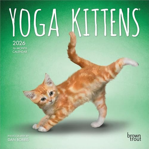 Yoga Kittens 2026 Mini 7X7