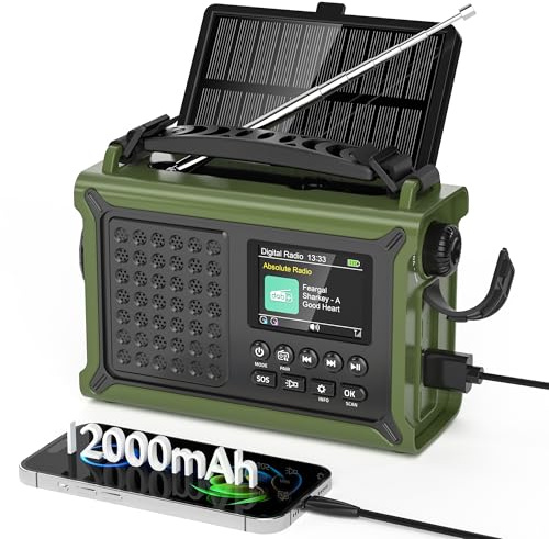 Mesqool DAB+/DAB/FM Wind Up Radio with 12000mAh Rechargeable Battery, Emergency Radio with Solar & Hand Crank Charging, Bluetooth 5.0, 2.4 Display, Dual Alarms, 5W Torch & Reading Lamp for Outdoors