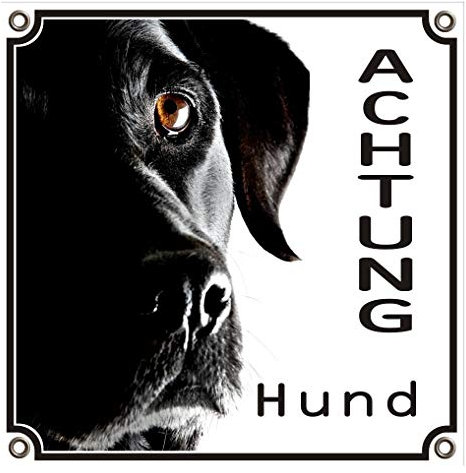 Hundeschild Labrador Retriever - erstklassiges Hundeschild besonders haltbar, 20 x 20 cm