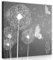 Forwall - Leinwand Bilder - Pusteblume Blumen Natur grau Pusteblumen - 40x40 cm Leinwandbilder - Bild auf leinwand - Wandbild XXL groß Wandbilder für Wohnzimmer Schlafzimmer Wohnzimmerbilder Modern