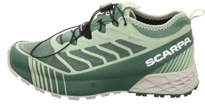 Scarpa Adult Master-Artikel Ribelle Run GTX Lady grün Gr. 42