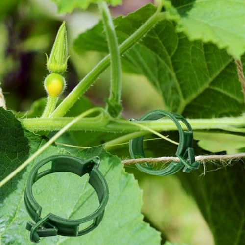 100PCS Plant Support 3 Size Wall Vine Plant Climbing Fixer Self-Adhesive Hook Vines Holder Invisible Traction Wall Sticky Fixture Clips Vegetable Fastening Clip (Green)
