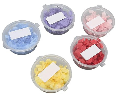 5 Pezzi Fiori Pressati Secchi Ortensia 5 Colori Rossi Gialli Rosa Viola Blu per Creazione Gioielli Resina Unghie Bigiotteria Decorazione Fai da Te