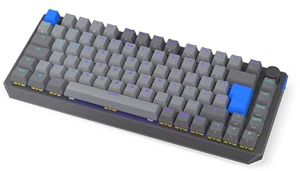 ENDORFY Thock V2 75% Wireless DE, QWERTZ, BT, 2.4 GHz, Yellow switches by Gateron, hot-swap, Lautstärkeregler, Mute-Funktion, Software, Aluminiumoberteil, programmierbare Makros