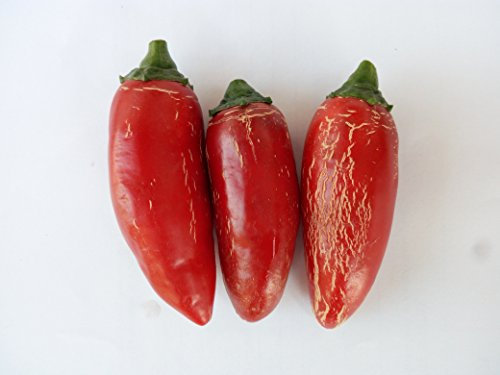 SEMI PEPERONCINO JALAPENO
