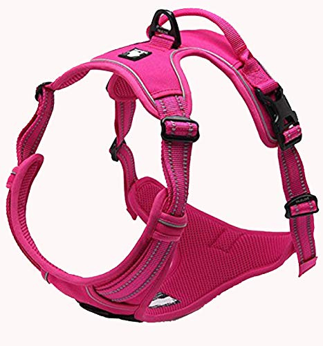 Truelove Adjustable No-Pull Dog Harness Reflective Vest, Fushcia, S | Front Clip, No-Choke, Soft Padded, Control Handle, Anti Escape, Dog Car Harness, Walking and Training, Escape Proof, TLH5651