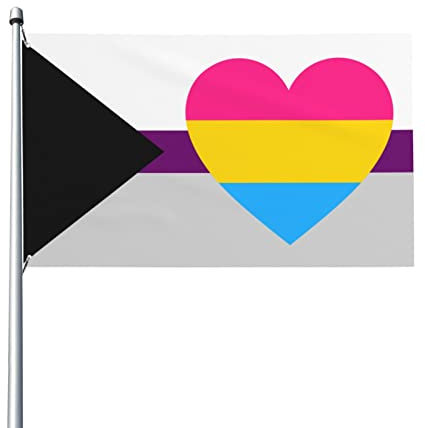 Demisexuelle Pansexuelle Pfanne Pride Flagge Willkommensfeier Outdoor Outdoor Dekorationen Picks Home House Garden Yard Decor 91 x 152 cm große Flagge
