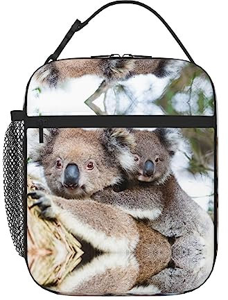 PIXOLE Koala Bear - Lonchera para adultos para trabajo de oficina, lonchera para hombres y mujeres, lonchera portátil reutilizable con aislamiento