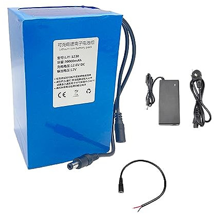 SSCYHT 12V 20AH 30AH Lithium Battery Pack DC 12 Volt Rechargeable Battery Pack Portable Polymer Lithium Battery for 12V Power Supply(Charger Optional),with charger,12V30Ah