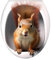 Deko Aufkleber WC Deckel Toilettendeckel 5stil Tier Wilde Tiere Toilettensitz Aufkleber 29CM PVC WC Deckel Bad Klo Aufkleber Sticker Umweltfreundliche PVC-Aufkleber Für Toiletten Für Badezimmer
