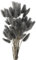 Yeehliny Pflanzenstiele, ländlicher Stil, Hasenschwanz Trockenblumen Deko ewig haltbar Pampasgras & getrocknete Blumen Pampasgras Trockenblumenstrauß Vase Deko,50 Stück (Grau)