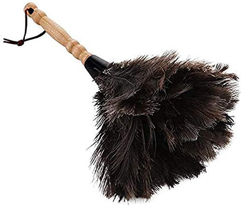 Nicole Knupfer Staubwedel Straußenfeder Strauß Feder Staubwischer Natur Straußenfedern for Heim & Büro (48cm)