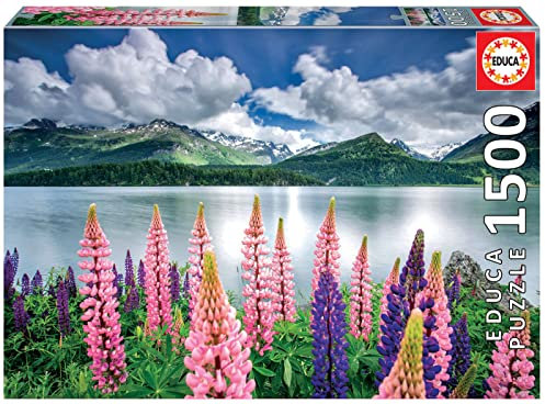 Educa 19271, Lupinen am Silsersee, 1500 Teile Puzzle für Erwachsene und Kinder ab 12 Jahren, Schweiz, Engadin