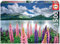 Educa 19271, Lupinen am Silsersee, 1500 Teile Puzzle für Erwachsene und Kinder ab 12 Jahren, Schweiz, Engadin