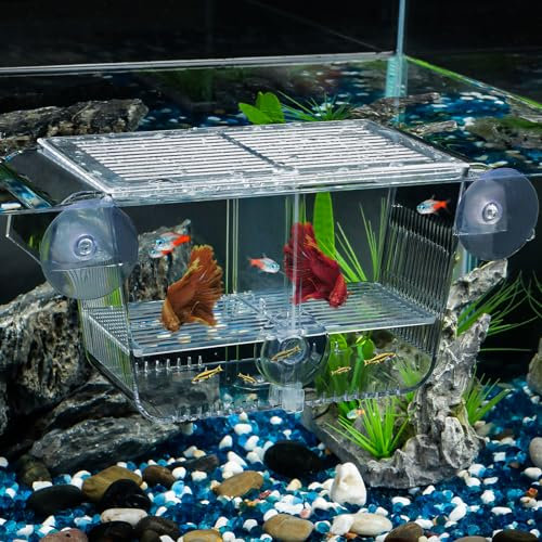 Pawfly Aufzuchtbecken Aquarium Ablaichkasten Fischbrutkasten Aquariumbrutkasten mit 6 Saugnäpfen Acrylbrutkasten für Babyfische Garnelen Betta Medium Absetzisolierbox für aggressive Fische Guppy Platy