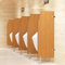 CHBGLNTY Urinal-Schirm, Urinal-Schirm, Urinal-Brett, Urinal-Trennwand mit Edelstahlbeschlägen, Trennwand für öffentliche Toiletten, Sichtschutz für Männer-Urinale für Schule/Krankenhaus/Firma (C