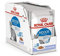 Royal Canin Indoor Sterilised in Gelee | 12 x 85 g | Alleinfuttermittel für ausgewachsene Katzen die im Haus Leben | Für sterilisierte Katzen | Häppchen in Gelee