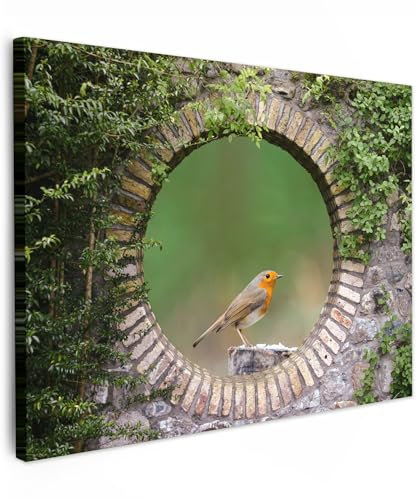 MuchoWow© Wandbilder 80x60 cm Wohnzimmer Wanddeko Schlafzimmer Zimmerdeko Fotowand Zimmer Deko Wand Dekoration Wall Art Vogel - Fensterblick - Rotkehlchen