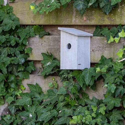 Gifts4Nature Nistkasten – Vogelnistkasten für draußen wetterfest – Holz grau FSC® 100% – 32 mm Öffnung – Allrounder für Meisen und Spatzen – mit Abflusslöchern und Reinigungsklappe