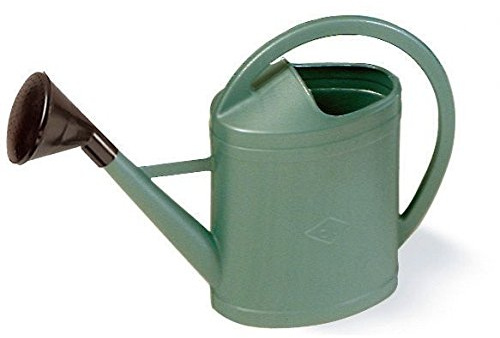 Arrosoir 11 litres avec pomme démontable