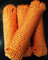 Oranges Mehrzweckseil 4 - 16 mm,Segeltauwerk, Mehrzweckseil, Bootstau, Strick,Rope,Ersatzseil, Reparaturseil,Festmacherleine,Schot, Kordel,Reep,Spannseil,Rope,Tauwerk,Seile,Expanderseil,Planenseil,Schnüre,Reep,Kunststoffseil (8 mm)