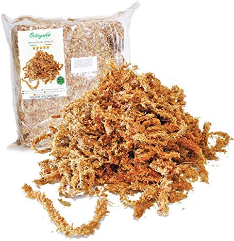 Ortisgreen Premium Quality Chilean Sphagnum Moos 500g, völlig natürlich und biologisch abbaubar. Ideales Substrat für Orchideen, Bonsai und vertikale Gärten.