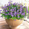 SOMYTING Künstliche Blumen 12 Bündel Künstliche Balkonpflanzen UV-beständig gefälschte Blumen Kein Verblassen Plastik Blumen für Outdoor Indoor Balkon Balkonkasten Blumenkasten (Lila)