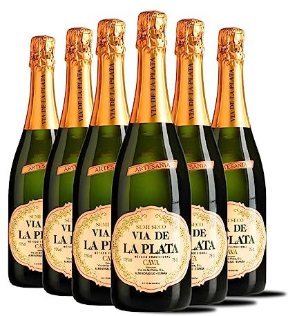Via de la Plata - Cava Semiseco - Mejor Cava Extremeño - Ideal Combinarlo con Postres y Celebraciones - Pack 6 Botellas 75cl