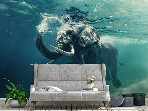 Fototapete Elefant | Fototapete für Wände | Wandbild | Tapete | verschiedene Maße 500 x 300 cm | Dekoration für Esszimmer, Wohnzimmer, Schlafzimmer usw.