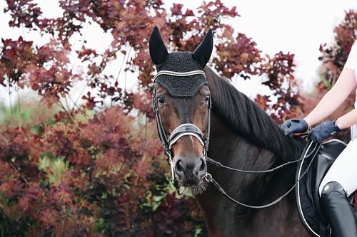 Kentucky - Fliegenhaube Wellington Sparkling Schwarz