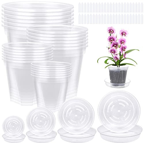 Paquete de 18 macetas transparentes con 18 bandejas, 4 tamaños de macetas de plástico para trasplante y plántulas, macetas de plantación, 100 piezas de etiquetas para plantas