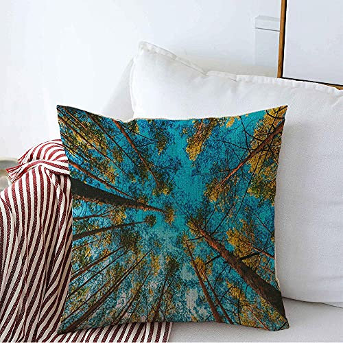 874 Kissenbezug Zweig, Der Frühlings-Kiefer-Wachstums-Ansicht-Nadelbaum-Überdachung Oben Natur-Parks Im Freienpflanze Schaut Sofakissen Dekoration Kissenhülle Dekokissen Kissenhüllen 45x45 cm