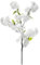 Generico Fiori Artificiali CILIEGIO in Fiore Bianco 97 cm - Stelo con 4 Rami