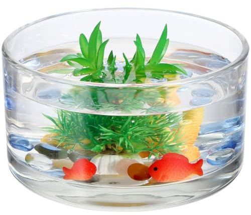 Toddmomy Glass Flower Pot for Hydroponics Round Glass Vase for Water Lilies and Money Plant 15x15x8cm Home Décor