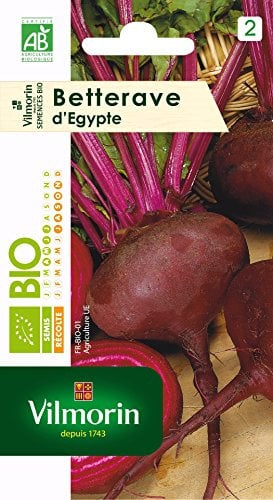 Vilmorin 3182670105289 3151342 Betterave Noire d Egypte Bio, Rouge, 9 x 0.5 x 16 cm