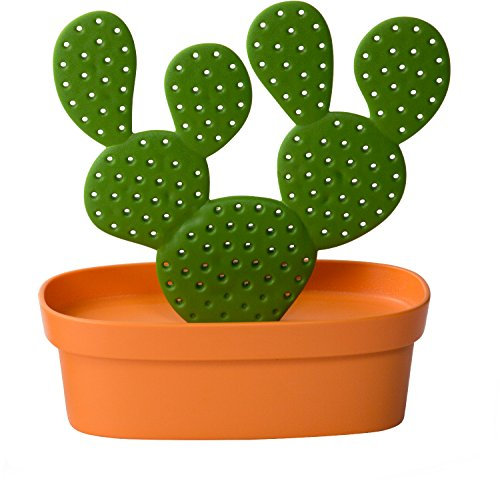 QUALY Porte Bijoux Cactus-Orange et Vert, Taille Unique