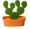 QUALY Porte Bijoux Cactus-Orange et Vert, Taille Unique