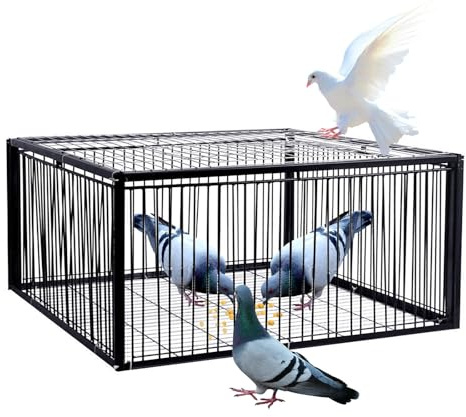 ASQUAR Taubenfalle mit Ausbruchsicherem Design, Automatische Vogelfangfalle mit Einweg-Eingang, Tragbarer und Einfach zu Montierender Vogelfangkäfig für Bauernhöfe, Wälder(Schwarz,40x30x26CM)