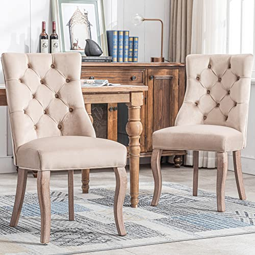 DRIXNO Stuhl Beige Samt Esszimmerstuhl,hohe Rückenlehne, mit Knopfsteppung, Gestell aus Massivholz, Beige(Set, 2 St)