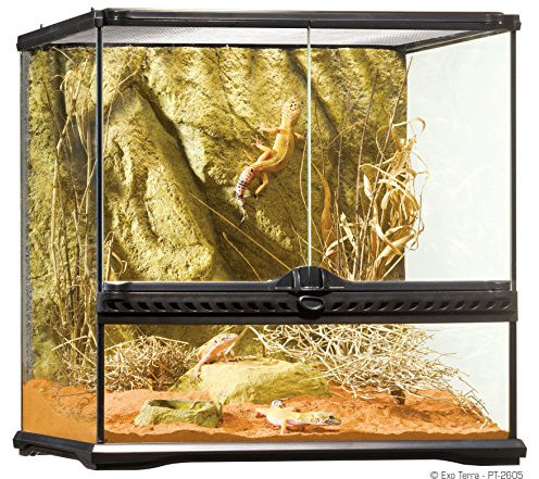 Exo Terra Terrarium aus Glas, Desert Habitat Set, Terrarienset für Wüstenbewohner, inkl. Abdeckung, 2 Verstecken, Wassernapf, Thermometer, Hygrometer, 2 künstlichen Kakteen, rotem Sand, 45 x 45 x 45cm