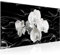 Runa Art Tableau Decoration Murale Fleurs Orchidée 1 Partie Moderne Toile non tissée Salon Salle Abstrait Noir Et Blanc 203212a