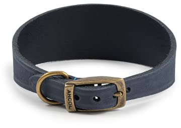 Ancol Timberwolf Whippet Leather Dog Collar in Blue - Top Grain Bridle Leather Comfortable Durable Pet Training Accessory - 30-34cm