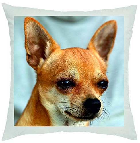 Crealuxe Hundemotiv Chihuahua Zierkissen, Sofakissen, bedrucktes Kissen, Bauwollkissen