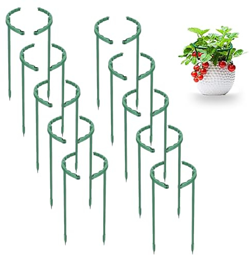 Pflanzenstütze Halbrunde, 20 Stücke Blumenhalter Pflanzenhalter aus Plastik Pflanzen Stütze Rankhilfe Halbrund für Pflanzen Gemüse Blumen-24,5 x 14,7cm